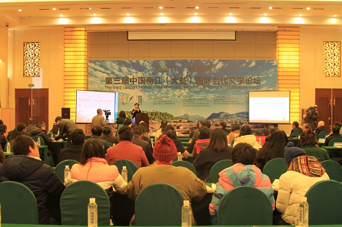 丽江市地图_丽江市旅游总收入