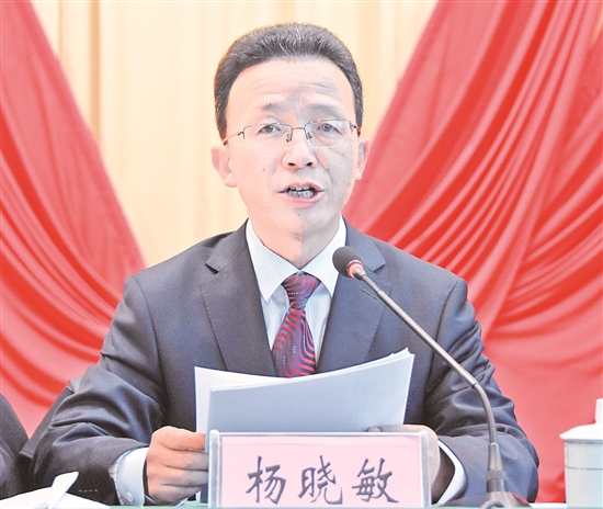 杨晓敏代表县委常委会作工作报告