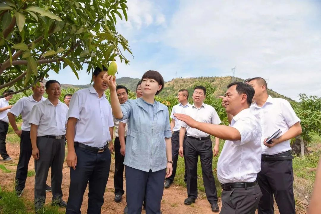 浦虹到华坪县调研并看望张桂梅老师_要闻_丽江频道_云南网