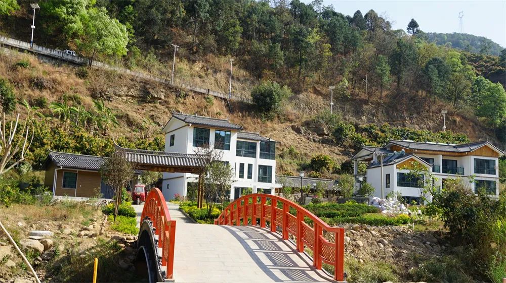 华坪果子山果旅融合绘就乡村振兴绿美画卷