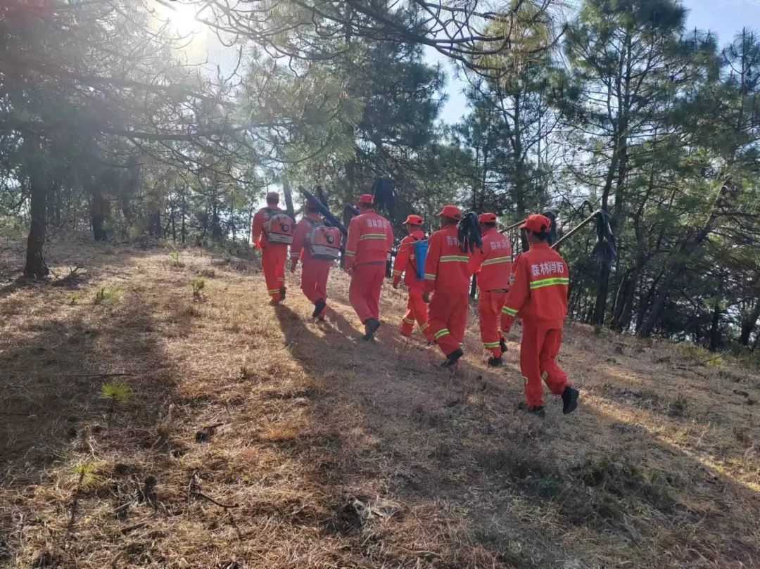 永胜县全力抓好森林草原防灭火工作_要闻_丽江频道_云南网