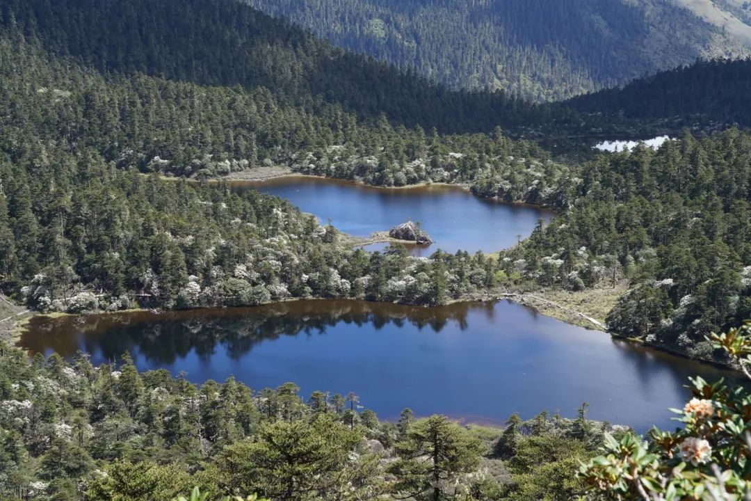 丽江老君山九十九龙潭迎来绚烂时刻